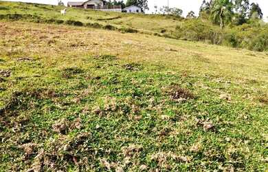 Imagem 7: Terreno para Venda em São Bento do Sul, Rio Vermelho Estação