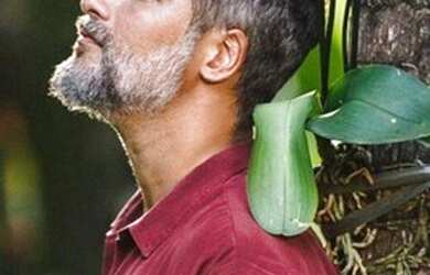 Imagem 8: Terreno à venda, 249 m² por R$ 232.500,00 - Sebastiana - Teresópolis/RJ