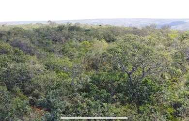 Imagem 3: Fazenda de compensação de Carbono ou reserva legal em Itacambira MG,...