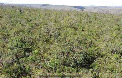 Imagem 8: Fazenda de compensação de Carbono ou reserva legal em Itacambira MG,...