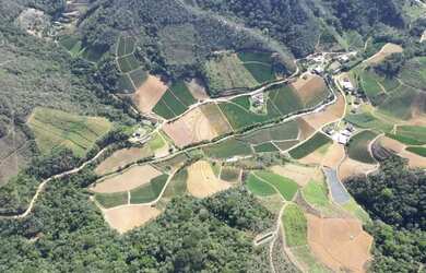 Imagem 11: Terreno à Venda em São Bento de Urânia 13 Hectares de Pura Riqueza...