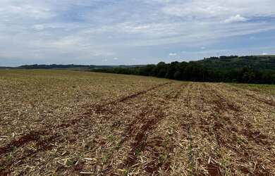 Imagem 2: Sítio de 8 alqueires na colônia nova