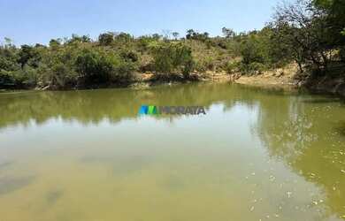 Imagem 11: FAZENDA À VENDA - 1.005 HECTARES - CURVELO MG