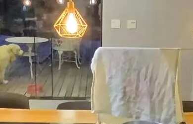 Imagem 7: Casa para venda possui com 4 quartos em Estância Alpina - Nova Lima -...