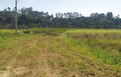 Imagem 16: Lote/Terreno para venda tem 600 metros quadrados em Jardim Japão Caucaia...