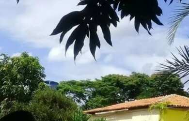 Imagem: A fazenda possui 999m² de Área e está localizado em Itajuípe