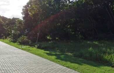 Imagem 13: Lote/Terreno para venda com 600 metros quadrados em Praia do Forte - Mata...