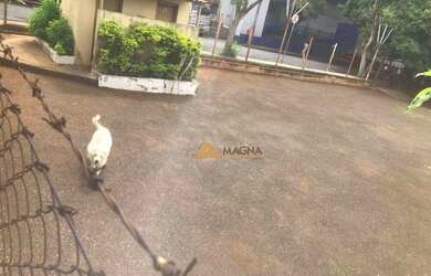 Imagem 9: Terreno à venda, 1584 m² por R$ 2.150.000,00 - Jardim Paulista - Ribeirão...