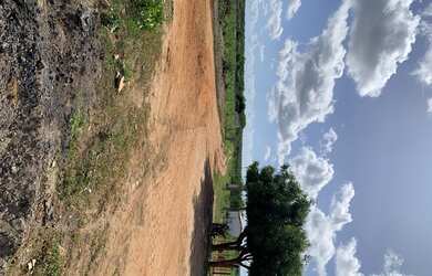 Imagem 5: Fazenda/Sítio/Chácara para venda FAZENDA BELO VALE 105 hectares Casa...