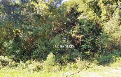 Imagem 4: Terreno à venda, 4015 m² por R$ 254.000,00 - Santa Terezinha - Canela/RS