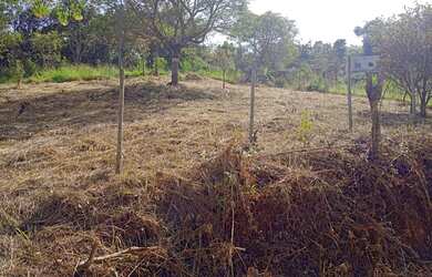 Imagem 4: Lote em igarape. 590m² de Área