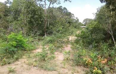 Imagem 8: Tenho um Ótimo Terreno de 18500 mts.no Lago do Peixe TO