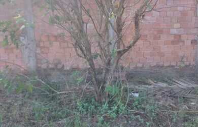 Imagem 6: Terreno no lagoa Azul. 