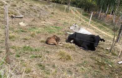 Imagem 11: Fazenda itaberai. 