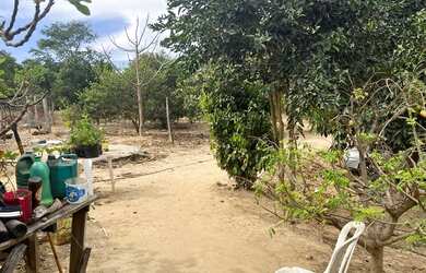 Imagem 9: Fazenda itaberai. 