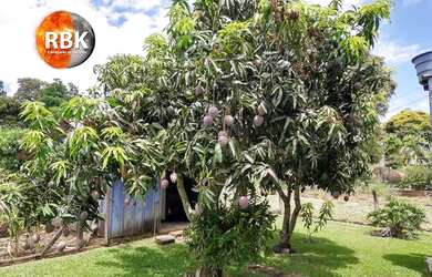Imagem 3: Casa para venda possui 182 metros quadrados com 3 quartos em Centro -...