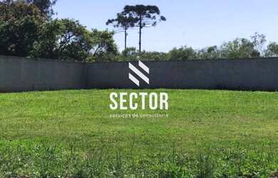 Imagem 4: Terreno à venda em Colônia Murici - São José dos Pinhais