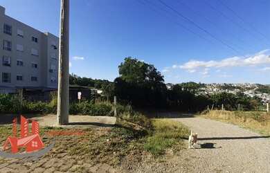 Imagem 15: CAXIAS DO SUL - Terreno Padrão - Nossa Senhora das Graças