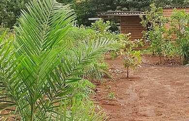 Imagem 16: Cháchara Jardim são José