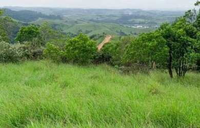 Imagem 15: E03-Terrenos próximo á Santa Branca