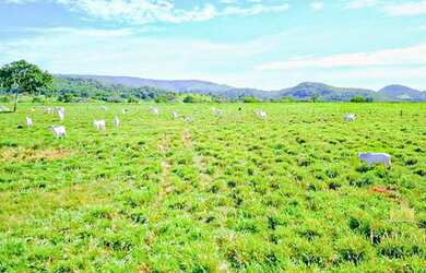 Imagem: A fazenda possui 6.680.000m² de Área, Churrasqueira e está