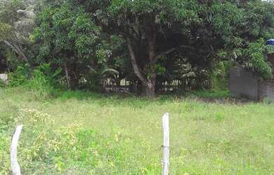 Imagem 4: Terreno 15 30. 