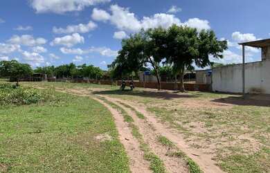 Imagem 13: Fazenda/Sítio/Chácara para venda FAZENDA BELO VALE 105 hectares Casa...