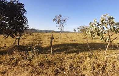 Imagem 6: Lote de 5 mil metros. Imóvel novoe5.000m² de Área