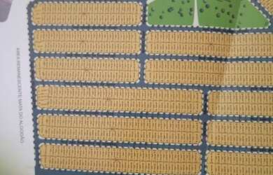 Imagem 2: Lote Setor Santa Edwiges. 200m² de Área