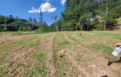 Imagem 12: Lote/Terreno para venda com 600 metros quadrados em Jardim Paineiras -...