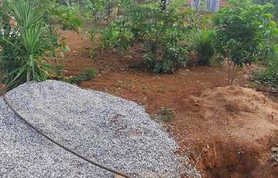 Imagem 6: Cháchara Jardim são José