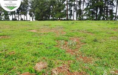 Imagem 3: Lote/Terreno para venda com 600 metros quadrados em Jardim Pinheiro -...
