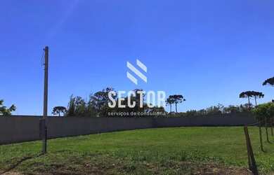 Imagem 5: Terreno à venda em Colônia Murici - São José dos Pinhais