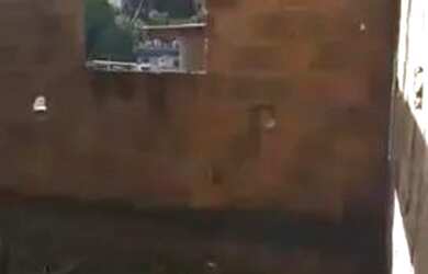 Imagem 5: Terreno 6x22 Pau Miudo. 132m² de Área