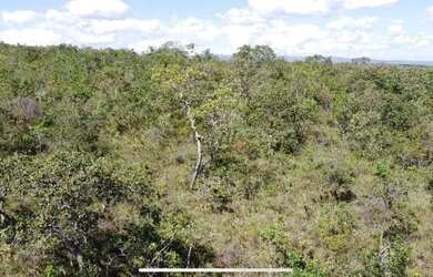 Imagem 16: Fazenda de compensação de Carbono ou reserva legal em Itacambira MG,...