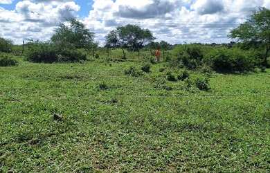 Imagem: O terreno possui 479m² de Área e está localizado em Sapeaçu