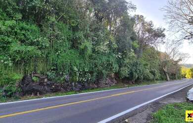 Imagem 6: Sítio / Chácara para Venda em Nova Petrópolis, Bavária