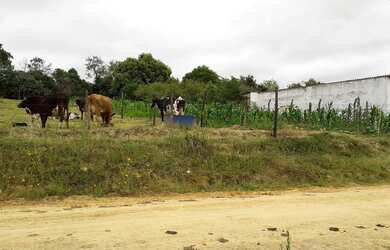 Imagem 6: 2800m2 para sua chácara. 2.800m² de Área