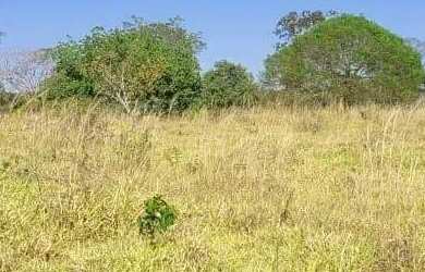 Imagem 12: Fazenda à Venda em Mundo Novo - GO 100 Alqueires Às Margens do Asfalto