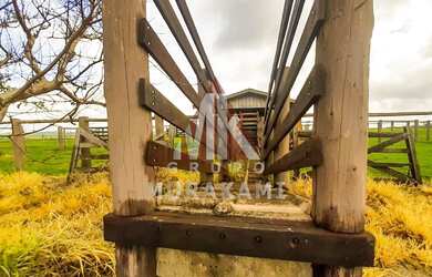 Imagem 3: FAZENDA - MARECHAL CANDIDO RONDON - PR