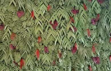 Imagem 5: 2 dormitórios Semi Novo com suíte, vaga e lazer completo