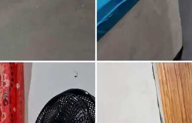 Imagem: A casa possui 3 Dormitórios, Acomodam 10 pessoas, 5 Vagas na