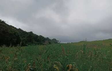 Imagem 1: Localização estratégica KM 82 da Rodovia Bunjiro Nakao Apenas 1 km...
