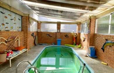 Imagem 13: Pelotas - Casa Padrão - Areal