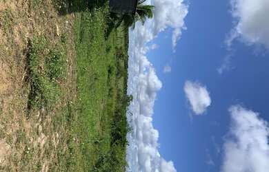 Imagem 4: Fazenda/Sítio/Chácara para venda FAZENDA BELO VALE 105 hectares Casa...