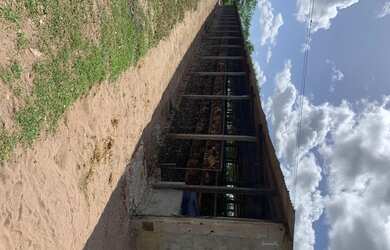 Imagem 9: Fazenda/Sítio/Chácara para venda FAZENDA BELO VALE 105 hectares Casa...