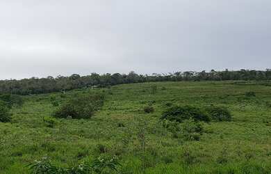 Imagem 6: Venda de Fazenda. Varanda, Guarda roupae870.000m² de Área