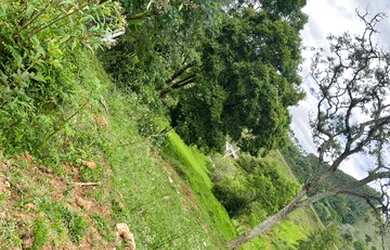 Imagem 3: E03-Terrenos próximo á Santa Branca