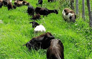 Imagem 4: Venda de Fazenda. Varanda, Guarda roupae870.000m² de Área