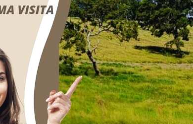 Imagem 4: Lote/Terreno para venda com 20000 metros quadrados em Jardim Bela Vista...